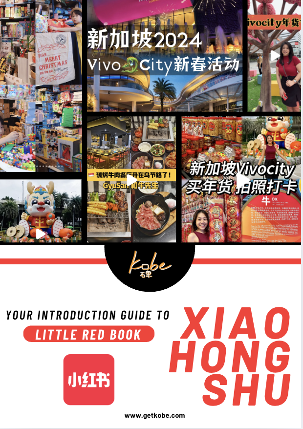 Introduction Guide To Xiao Hong Shu